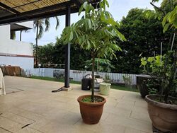 Shamrock Park (D10), Semi-Detached #506465221
